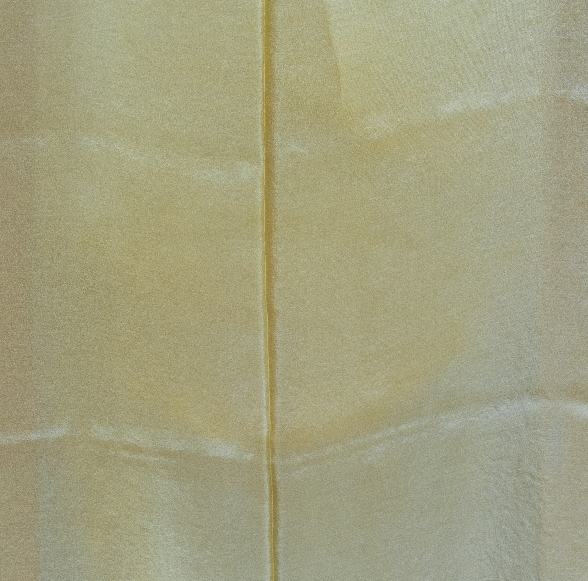 NATURAL DYED ORGANZA L20278