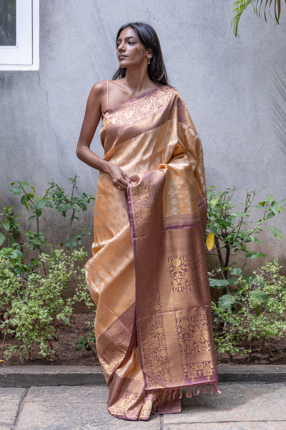 KANCHIVARAM SS147