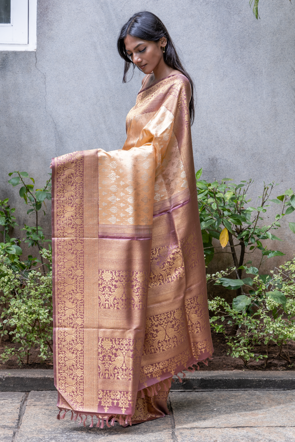 KANCHIVARAM SS147