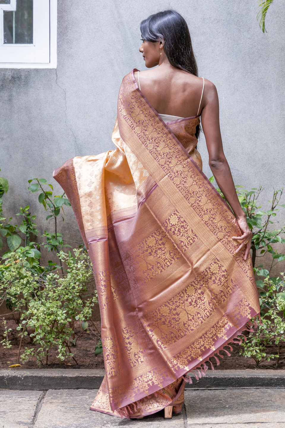KANCHIVARAM SS147