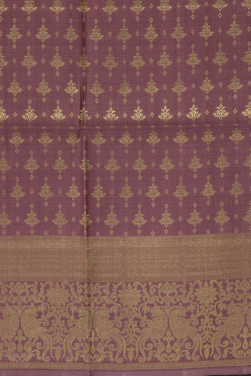 KANCHIVARAM SS147